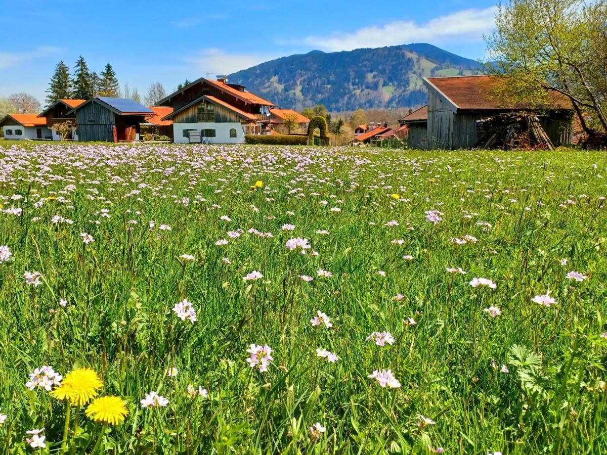 Ferienwohnung Geierstein Wackersberg Esterno foto