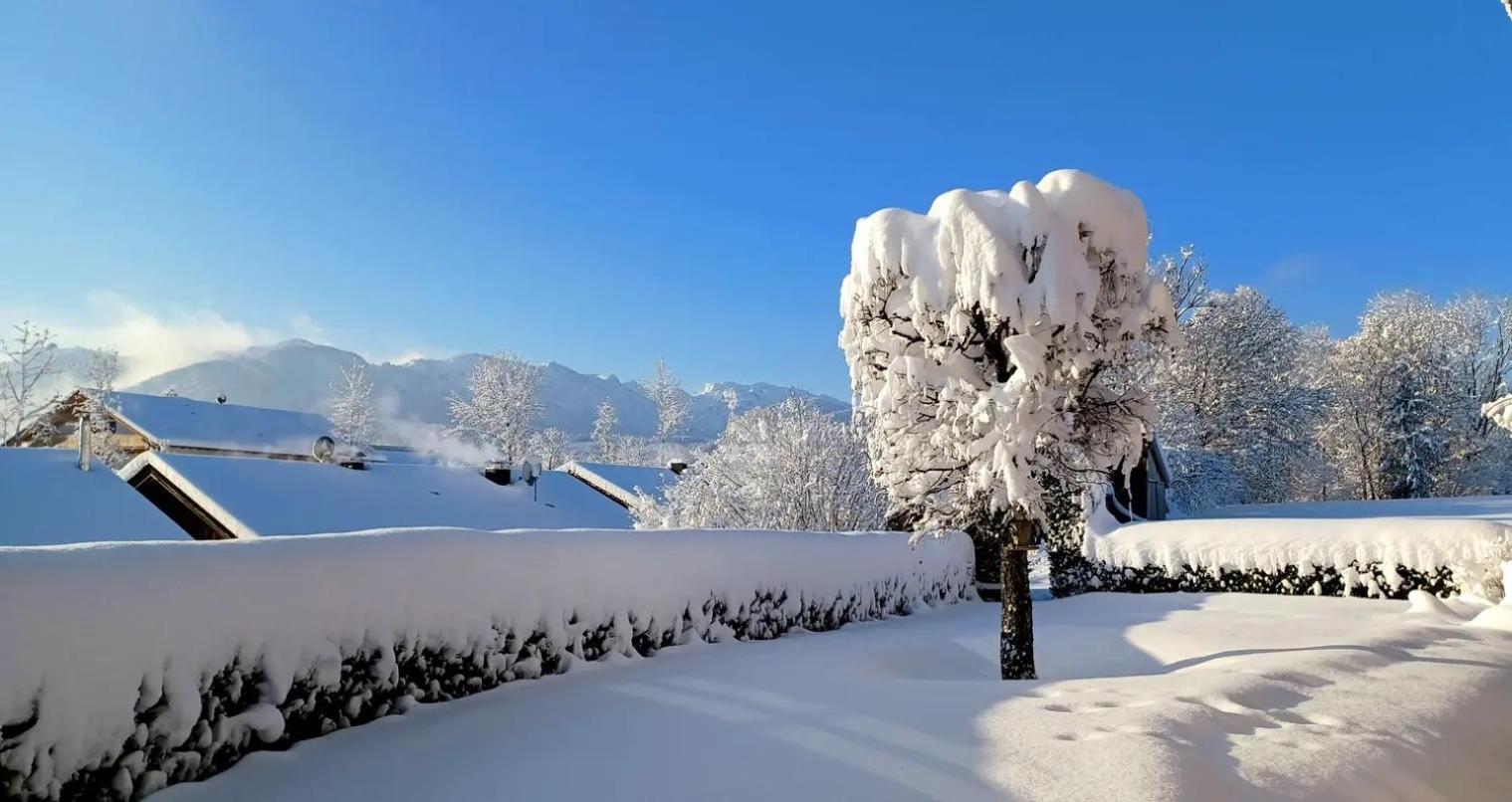 Ferienwohnung Geierstein Wackersberg Esterno foto